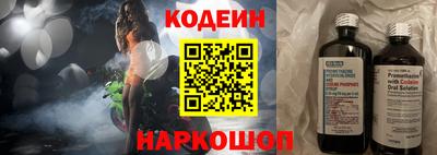 индика Ростов Великий