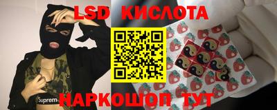 индика Ростов Великий
