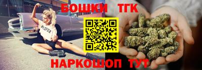 индика Ростов Великий