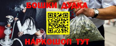индика Ростов Великий