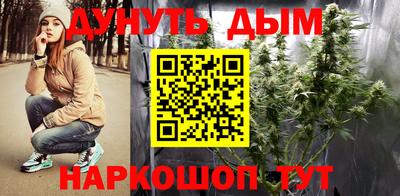 индика Ростов Великий