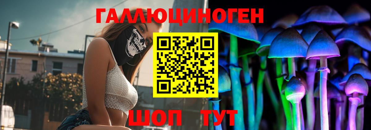 Камышлов  наркота  Вход с VPN  Галлюциногенные грибы мицелий  Галлюциногенные грибы ЛСД 