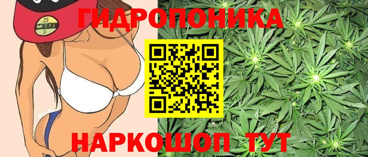 Каннабис Ganja Камышлов
